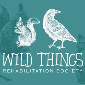 Wild Things Rehabilitation Society