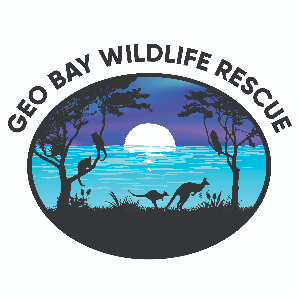 Geo Bay Wildlife Rescue Inc