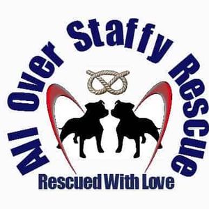 All Over Staffy Rescue