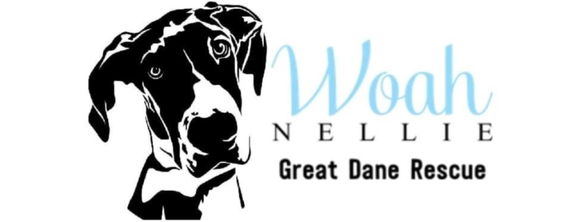 Woah Nellie Great Dane Rescue