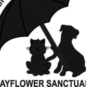 Mayflower Animal Sanctuary