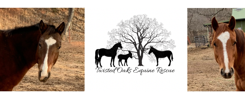 Twisted Oaks Rescue and Rehab Inc.