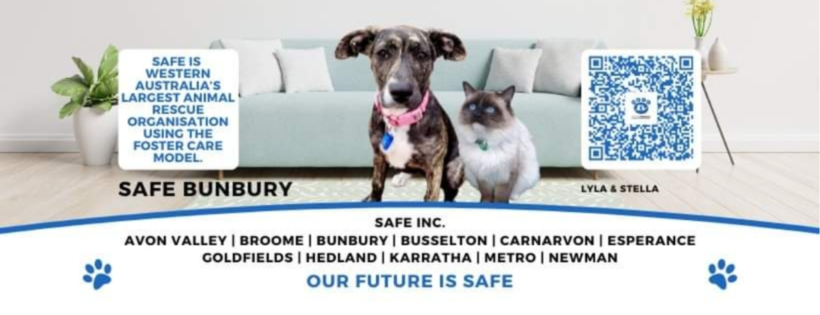 SAFE Bunbury - Saving Animals From Euthanasia