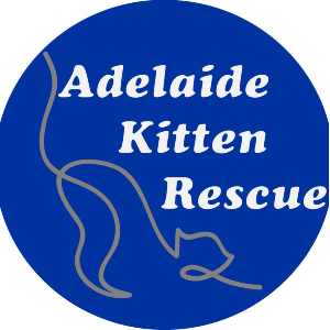 Adelaide Kitten Rescue Incorporated Logo