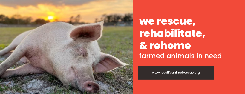 Love Life Animal Rescue & Sanctuary Inc.