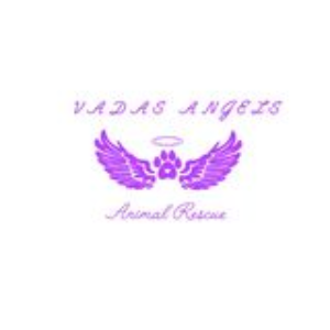 Vada's Angels Animal Rescue Tauranga Logo