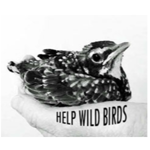 Help Wild Birds Logo