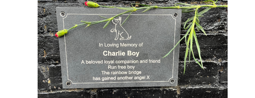 Charlie boys angels