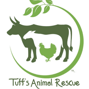Tuff's Animal Rescue