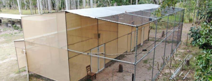 Wildlife & Raptor Care Queensland Inc.