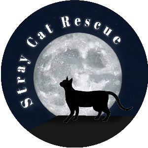Stray Cat Rescue Tingrith