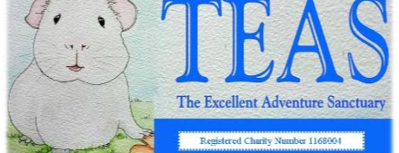The Excellent Adventure Sanctuary (for guinea pigs with extra needs)