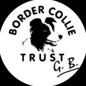Border Collie Trust GB