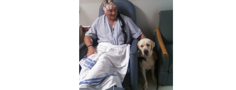 HAWAII FI-DO SERVICE DOGS