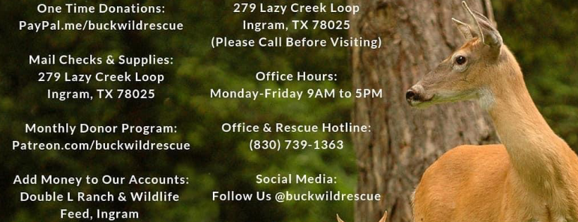 Buck Wild Animal Rescue and Wildlife Rehab