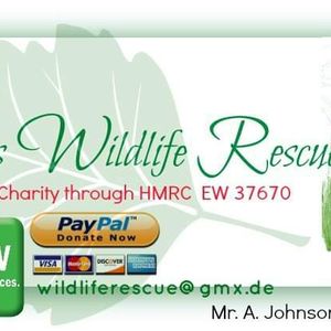 Pennines Wildlife Rescue Logo