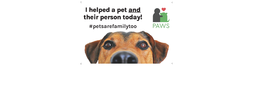 Paws canada