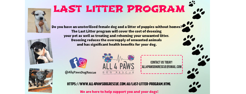 All 4 Paws Dog Rescue