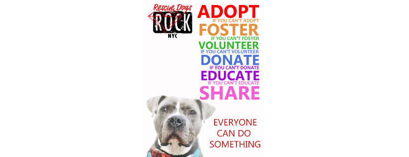 Rescue Dogs Rock Inc