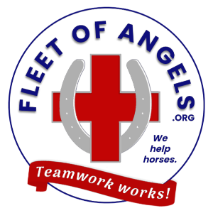 Fleet of Angels Logo