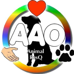 Against All Odds Animal Resq Logo