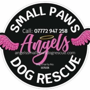 Angel Small Paws Logo