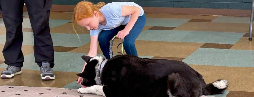 Paws for Kids for Paws