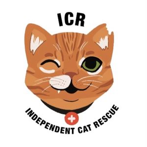 ICR Independent Cat Rescue