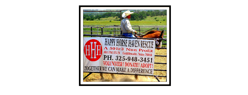 Happy Horse Haven Rescue