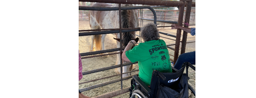 Saddles of Joy