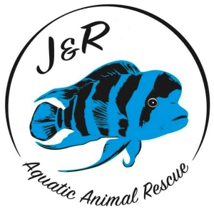 J&R Aquatic Animal Rescue Logo