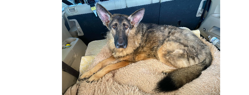 Second Start Rescue