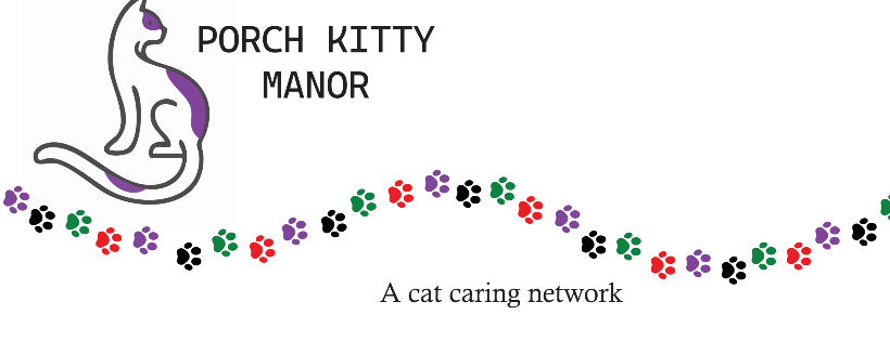 Porch Kitty Manor