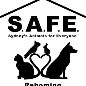 Safe Rehoming - Sydney's Animals for Everyone Logo