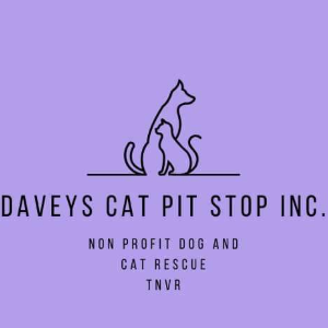 Davey's Cat Pit Stop
