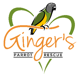 Ginger's Parrot Rescue Logo