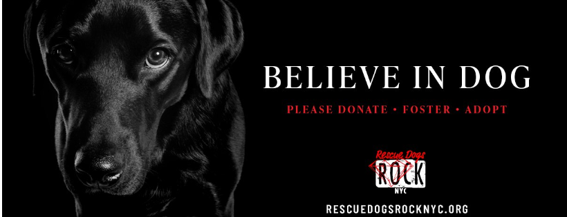 Rescue Dogs Rock NYC