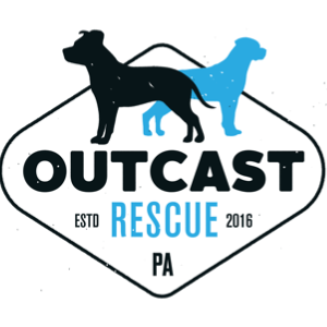 Outcast Rescue Logo