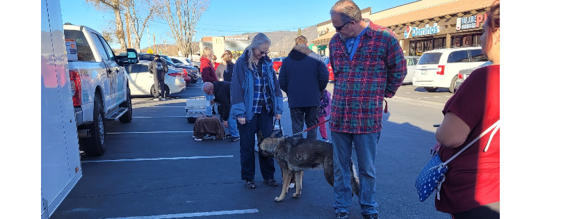 Spay Neuter Imperative Project California