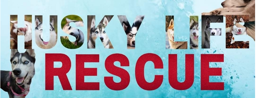 Husky Life Rescue