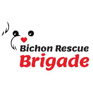 Bichon Rescue Brigade Logo