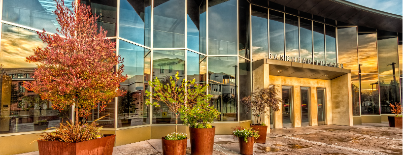 Livermore Valley Arts