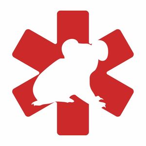 Adelaide Koala Rescue