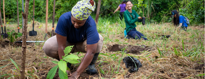 Osa Conservation