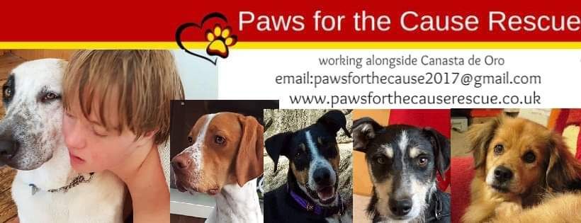 Paws for the Cause Rescue