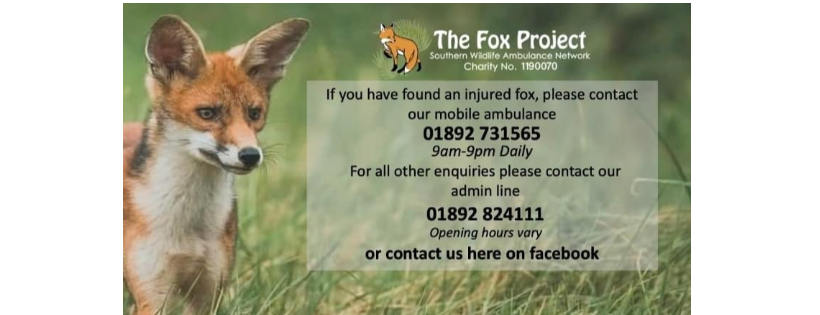 The Fox Project