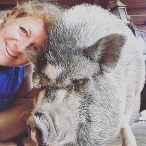 My pig filled life Logo