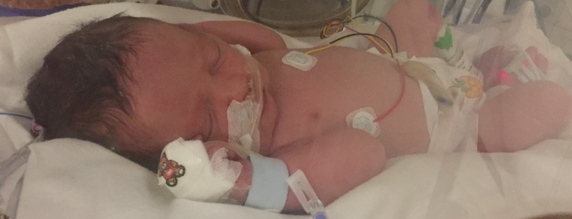 SUPPORT FOR THE SICK NEWBORN AND THEIR PARENTS