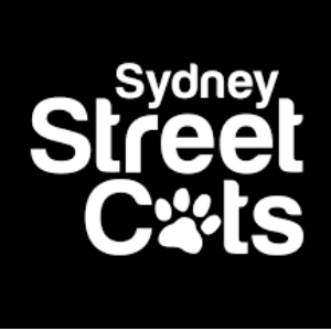 Street Cats Care and Rescue Logo