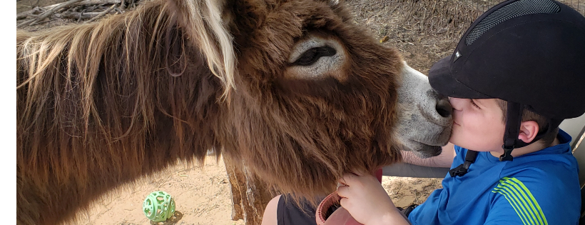 Loving Long Ears Donkey Therapy & Sanctuary, Inc